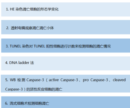 細(xì)胞、組織TUNEL凋亡染色實驗服務(wù)